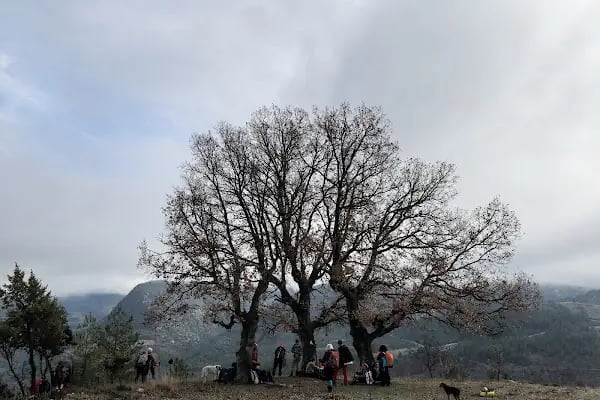 Orhaneli Belediyesi - Resim 8