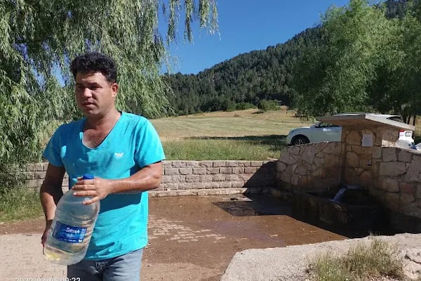 Bodamya Yaylası - Piknik Alanı - Resim 19