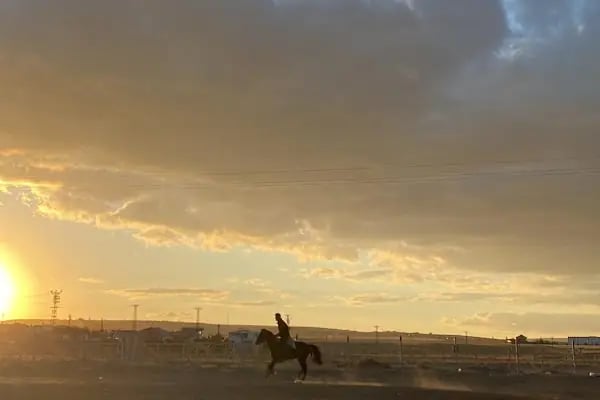 DREAM HORSE BİNİCİLİK VE ATLI SPOR KULÜBÜ - Resim 7