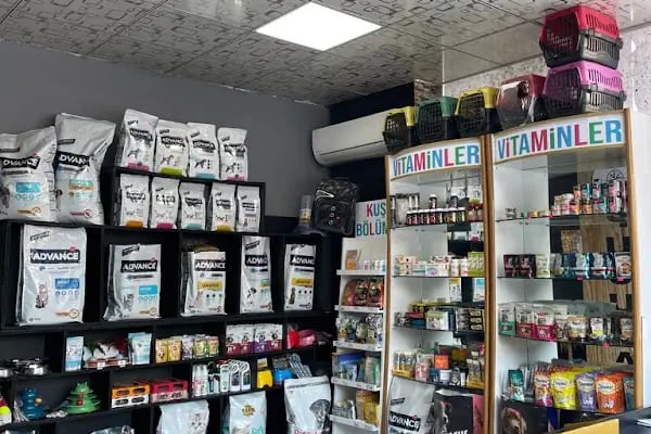 Pusula Veteriner Kliniği - Resim 15