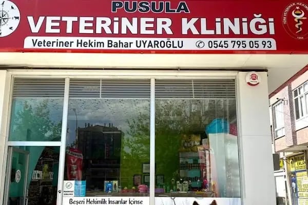 Pusula Veteriner Kliniği - Resim 18