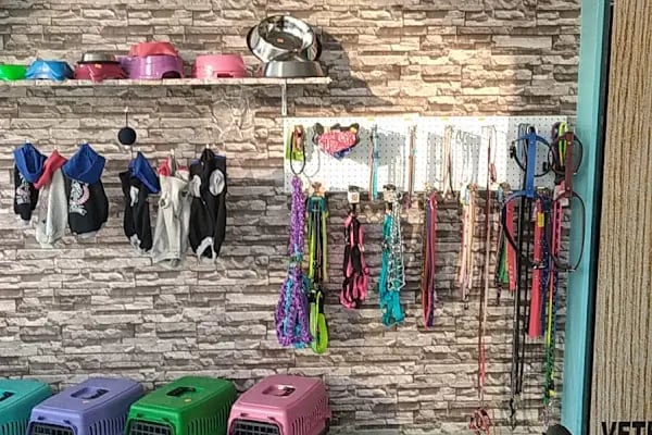 Pusula Veteriner Kliniği - Resim 10