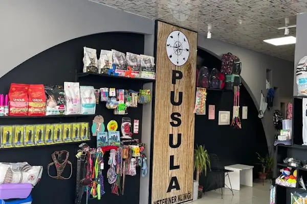 Pusula Veteriner Kliniği - Resim 14