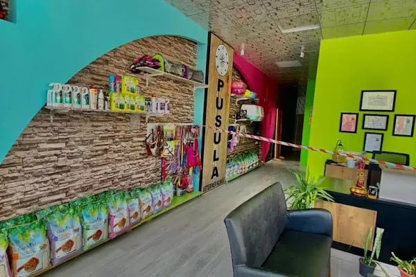 Pusula Veteriner Kliniği - Resim 19