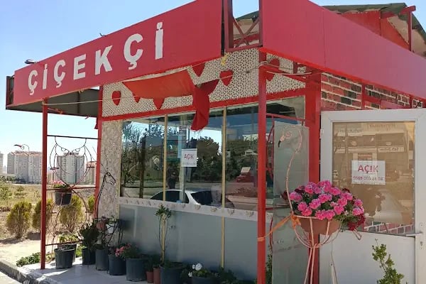 Lina ÇİÇEKÇİLİK / Yapracık Çiçekçi - Resim 4