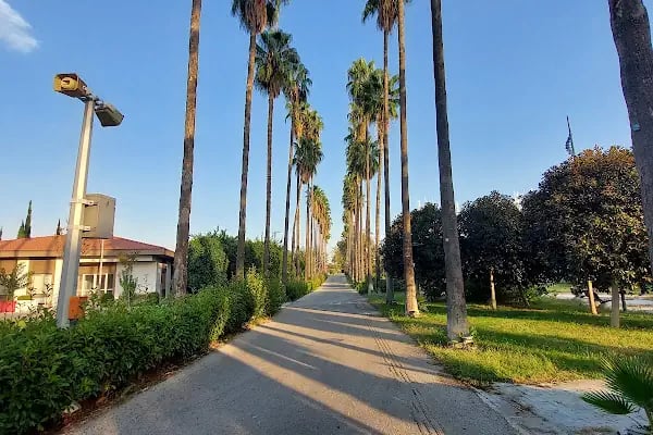 ANTALYA EXPO SERASI - Resim 4