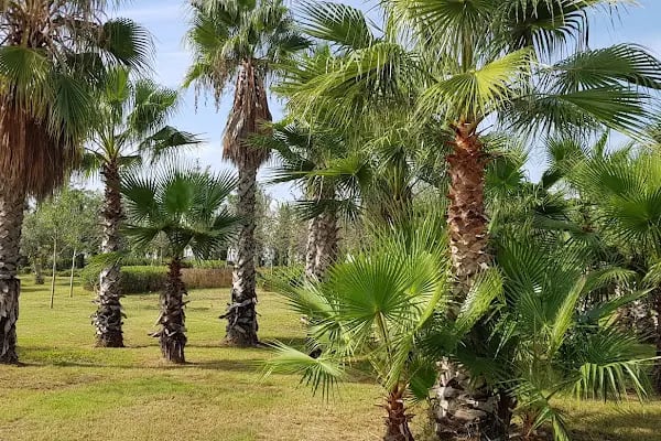ANTALYA EXPO SERASI - Resim 20