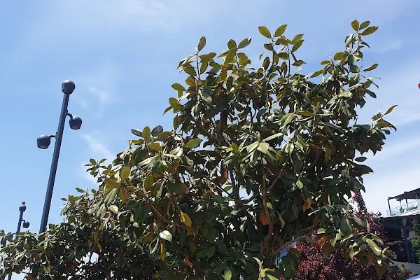 Bahçeşehir Üniversitesi Mühendislik ve Doğa Bilimleri Fakültesi - Resim 15