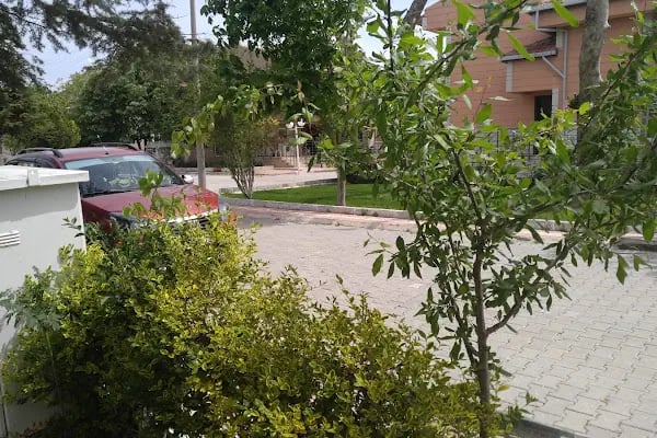 Enez Sahil Engelli Plajı - Resim 19