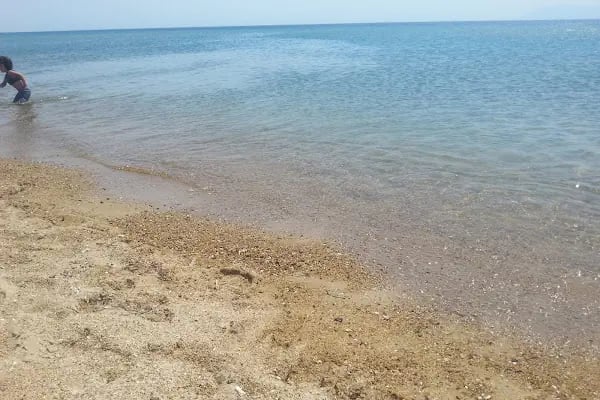 Enez Sahil Engelli Plajı - Resim 4