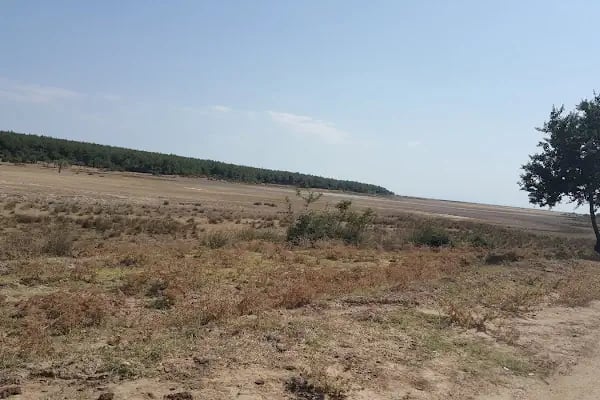 Enez Sahil Engelli Plajı - Resim 11