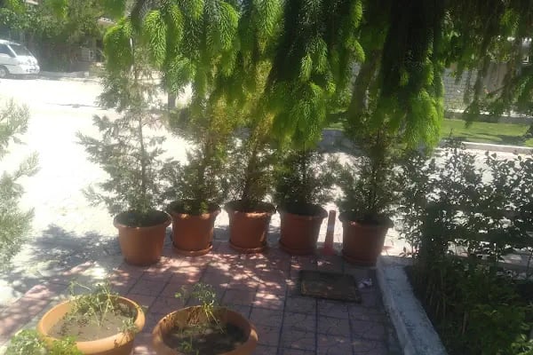 Enez Sahil Engelli Plajı - Resim 12