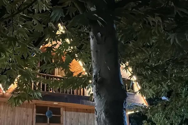 SAİMBEYLİ MAVİSİ CAFE &amp; RESTAURANT - Resim 14