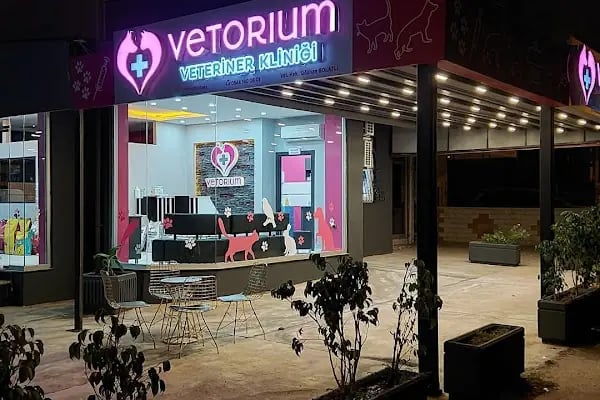 VETORIUM VETERİNER KLİNİĞİ - Resim 3