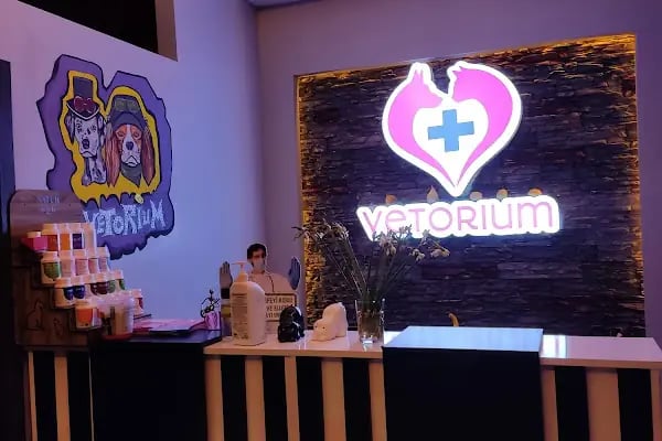VETORIUM VETERİNER KLİNİĞİ - Resim 13