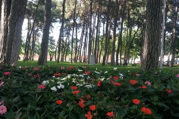 Merinos Atatürk Kongre Kültür Merkezi Kuzey Kapısı - Resim 2
