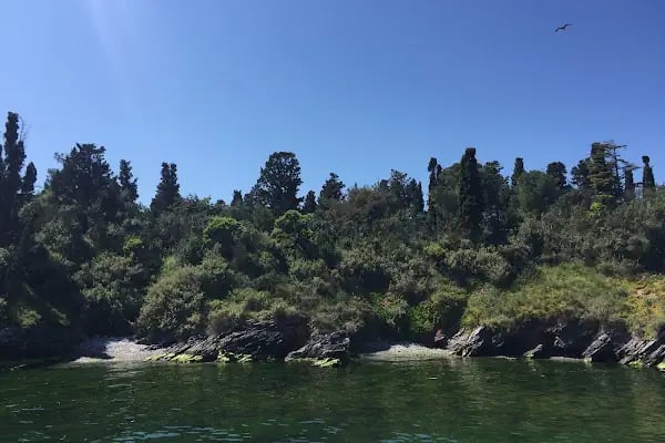 Sedefadası Vapur İskelesi - Resim 12