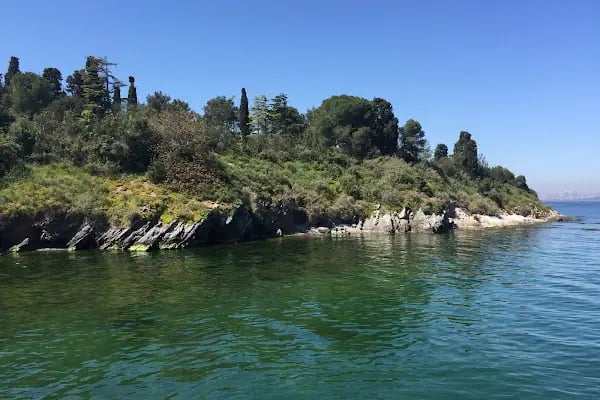 Sedefadası Vapur İskelesi - Resim 3