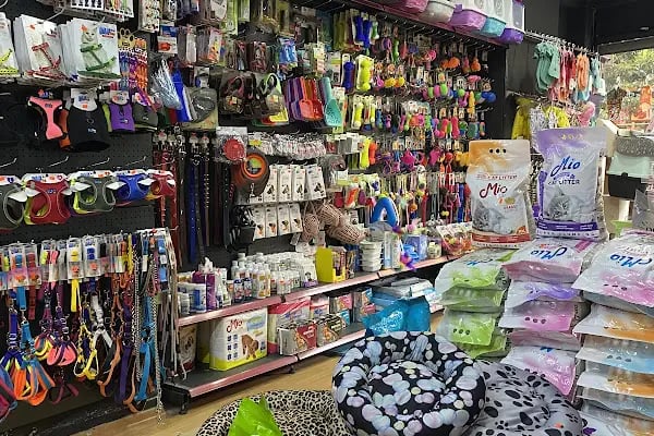 Mis PetShop - Resim 4