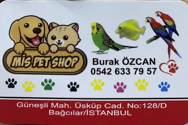 Mis PetShop - Resim 5