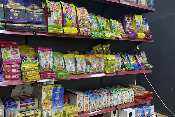Mis PetShop - Resim 8