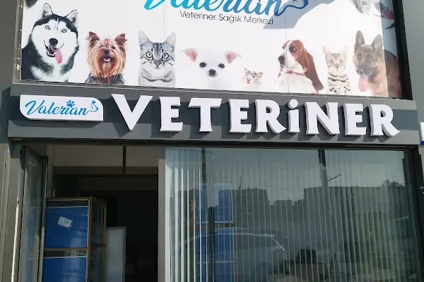 Valerian Veteriner Sağlık Merkezi - Resim 2