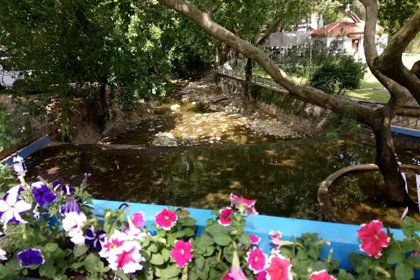 Ilıca Restorant Plus - Resim 7