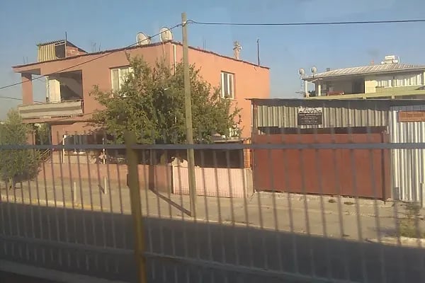Pancar - Resim 6