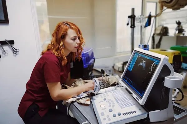 Bostanlı Sahil Veteriner Kliniği - Resim 6