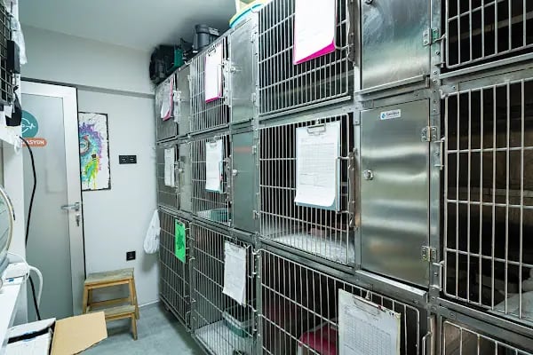 Bostanlı Sahil Veteriner Kliniği - Resim 4