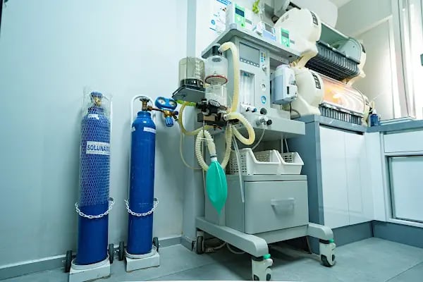 Bostanlı Sahil Veteriner Kliniği - Resim 3