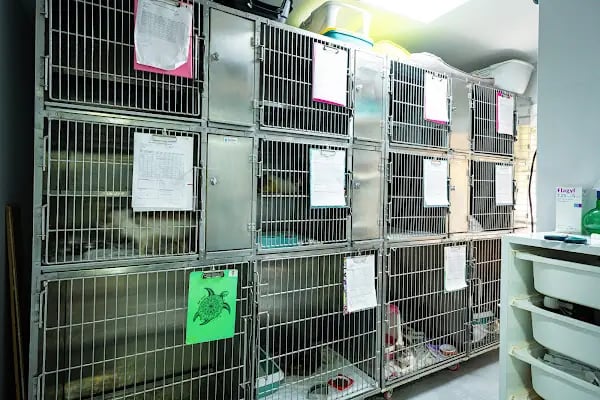 Bostanlı Sahil Veteriner Kliniği - Resim 19