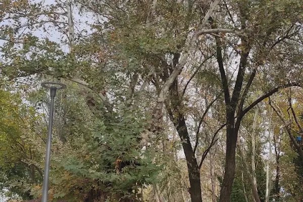 Merkezefendi Doğal Yaşam Parkı - Resim 12