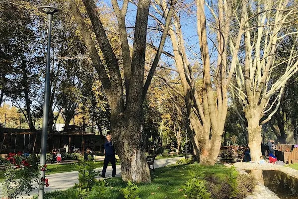 Merkezefendi Doğal Yaşam Parkı - Resim 8