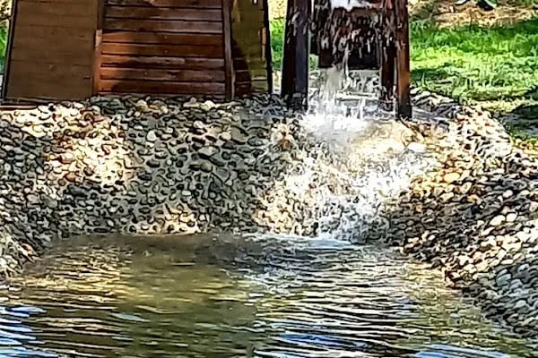Merkezefendi Doğal Yaşam Parkı - Resim 7