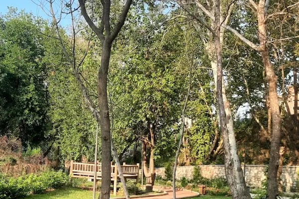 Merkezefendi Doğal Yaşam Parkı - Resim 16