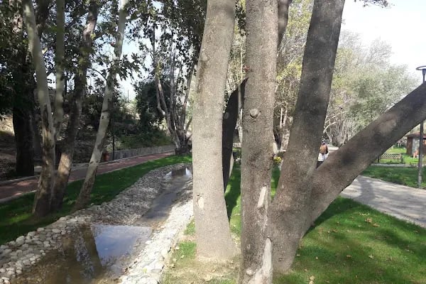 Merkezefendi Doğal Yaşam Parkı - Resim 17