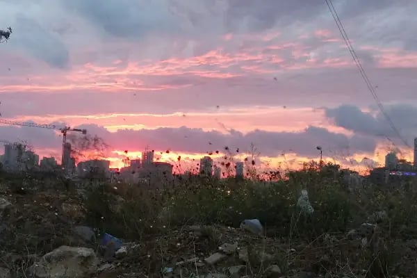 Şehit Binbaşı Ömer Aktuğ Parkı - Resim 6