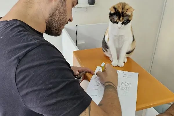 Sweet Pets Veteriner Kliniği - Resim 3