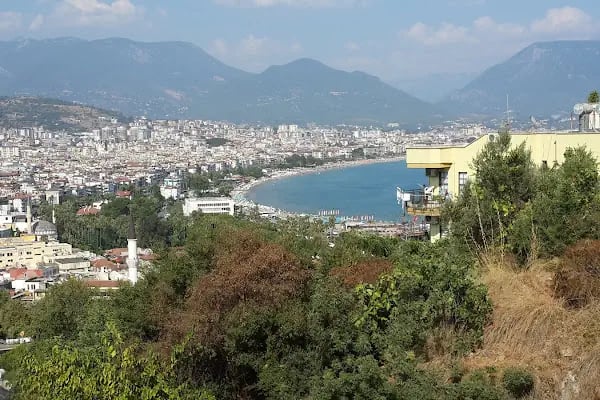 ​​Marketim Geldi - Alanya'nın Sanal Marketi - Resim 14