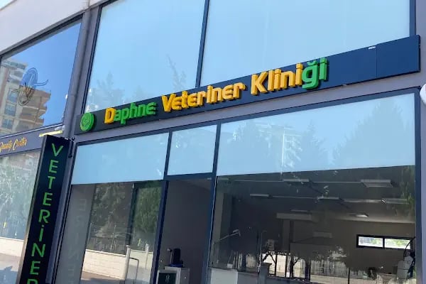 daphne veteriner kliniği - Resim 3