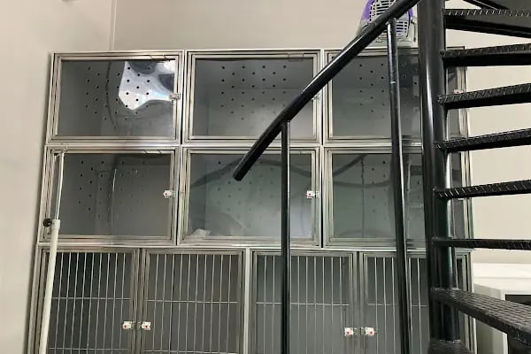 daphne veteriner kliniği - Resim 17