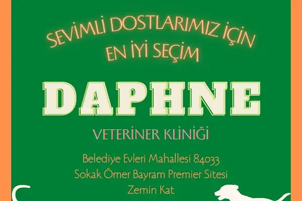 daphne veteriner kliniği - Resim 1