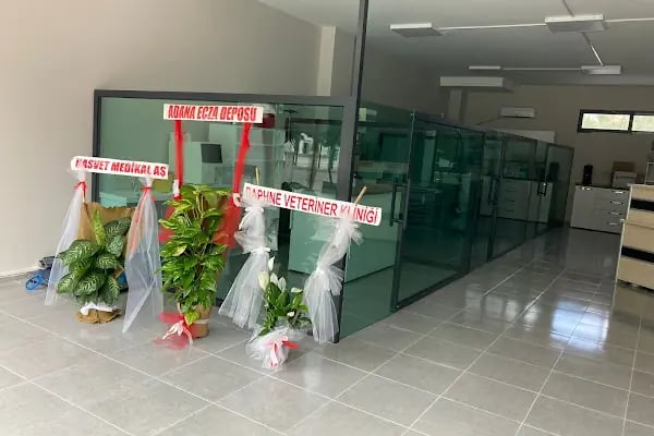 daphne veteriner kliniği - Resim 20