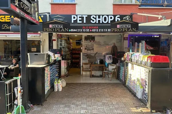 Pet Shop 6 - Resim 1
