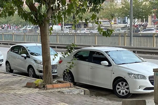 Urfa Oto Kiralama Amg Rent A Car - Resim 7