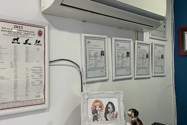 KUMRU Veteriner Kliniği - Resim 5