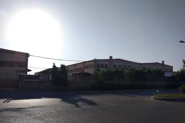 Alanyalı Entegre Ahşap San. Tic. AŞ - Resim 4