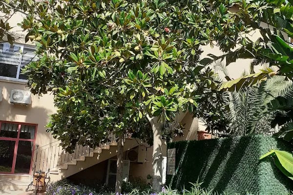 Alva Sitesi - Resim 5