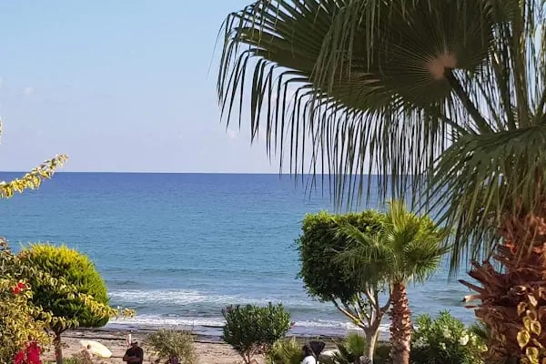 Alva Sitesi - Resim 15